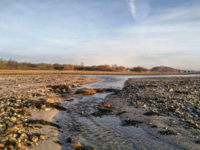 Holiday house 4 person holiday home in Rønde-By Traum - Outdoor photo 28