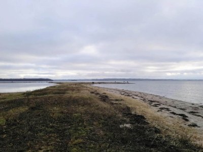 Holiday house 4 person holiday home in Rønde-By Traum - Outdoor photo 30