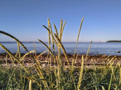 Holiday house 4 person holiday home in Rønde-By Traum - Outdoor photo 31