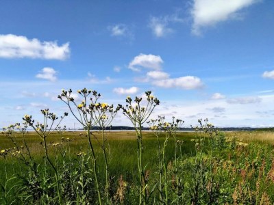 Holiday house 4 person holiday home in Rønde-By Traum - Outdoor photo 33