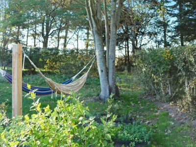 Holiday house 20 person holiday home in Ulfborg - Outdoor photo 24