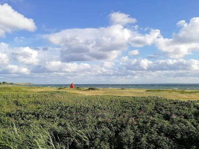 Holiday house 4 Personen Ferienhaus in Knebel - Outdoor photo 11