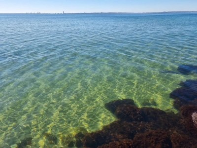 Holiday house 4 Personen Ferienhaus in Knebel - Outdoor photo 23