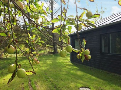 Holiday house 6 Personen Ferienhaus in Hjørring-By Traum - Outdoor photo 26