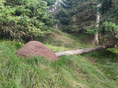 Holiday house 6 Personen Ferienhaus in Hjørring-By Traum - Outdoor photo 37