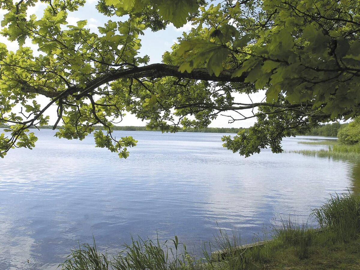 Holiday house 8 Personen Ferienhaus in Ansager - Outdoor photo 3