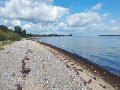 Holiday house 4 person holiday home in Haderslev - Outdoor photo 7