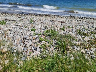 Holiday house 4 person holiday home in Haderslev - Outdoor photo 9