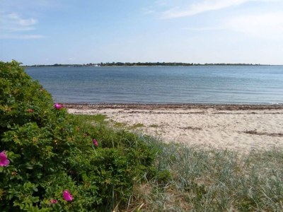 Holiday house 4 person holiday home in Haderslev - Outdoor photo 23