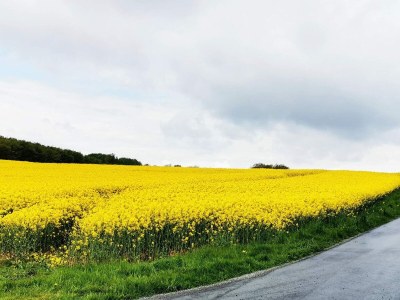Holiday house 6 Personen Ferienhaus in Tranekær-By Traum - Outdoor photo 10