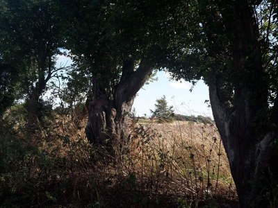 Holiday house 6 Personen Ferienhaus in Tranekær-By Traum - Outdoor photo 11