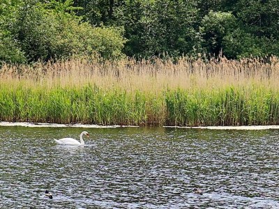 Holiday house 6 Personen Ferienhaus in Tranekær-By Traum - Outdoor photo 17