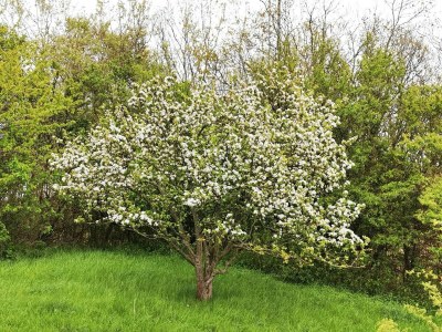 Holiday house 6 Personen Ferienhaus in Tranekær-By Traum - Outdoor photo 39