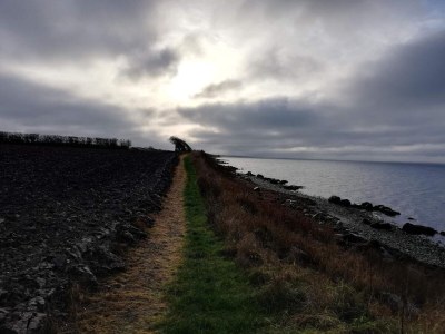 Holiday house 6 Personen Ferienhaus in Tranekær-By Traum - Outdoor photo 47