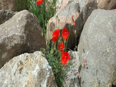 Holiday house 6 person holiday home in Rudkøbing-By Traum - Outdoor photo 13