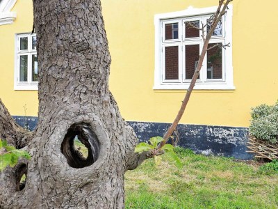 Holiday house 6 person holiday home in Rudkøbing-By Traum - Outdoor photo 21