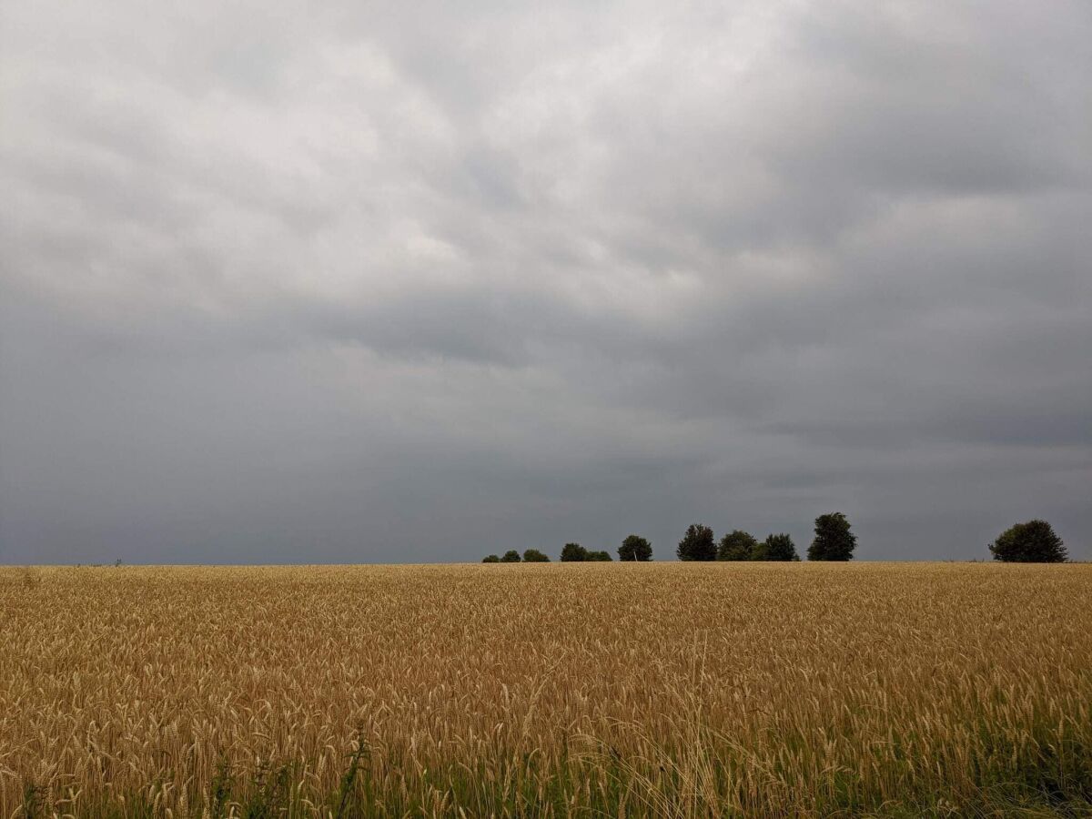 Holiday house Panoramic Retreat in Borgnaes - By Traum Ferienwohnungen - Outdoor photo 2