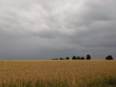 Holiday house Panoramic Retreat in Borgnaes - By Traum Ferienwohnungen - Outdoor photo 2