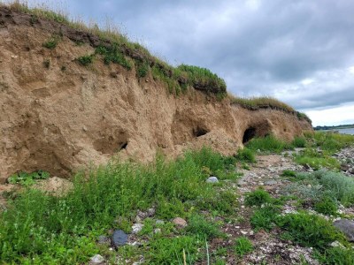 Holiday house Panoramic Retreat in Borgnaes - By Traum Ferienwohnungen - Outdoor photo 26