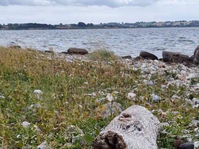 Holiday house Panoramic Retreat in Borgnaes - By Traum Ferienwohnungen - Outdoor photo 28