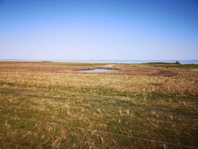 Holiday house Panoramic Retreat in Borgnaes - By Traum Ferienwohnungen - Outdoor photo 38