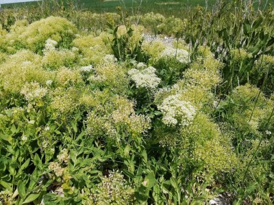Holiday house Panoramic Retreat in Borgnaes - By Traum Ferienwohnungen - Outdoor photo 39