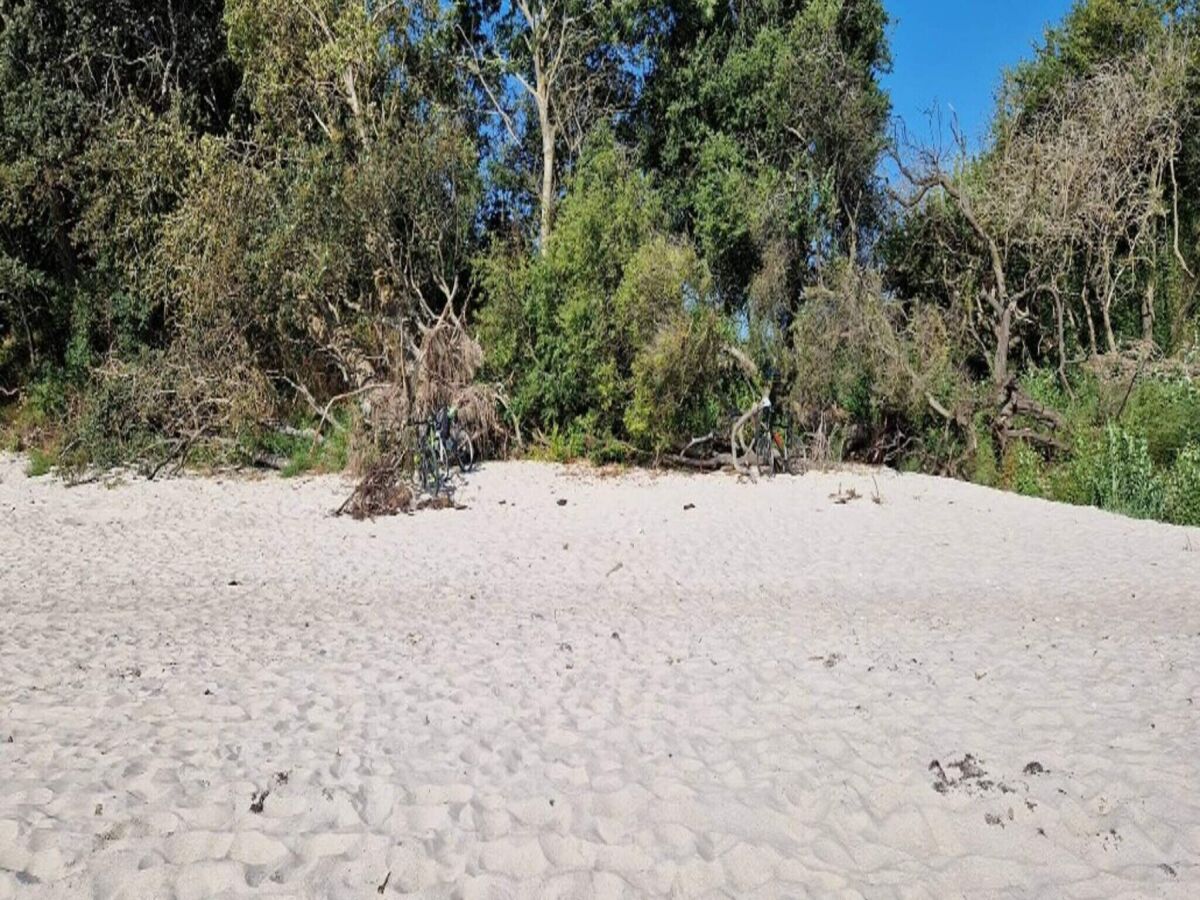 Holiday house 5 Personen Ferienhaus in Ebeltoft - Outdoor photo 2