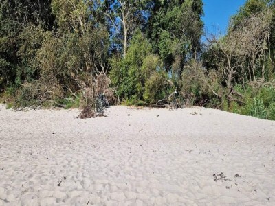 Holiday house 5 Personen Ferienhaus in Ebeltoft - Outdoor photo 2