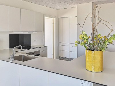 Apartment 6 person holiday home in Ringkøbing - Outdoor photo 42