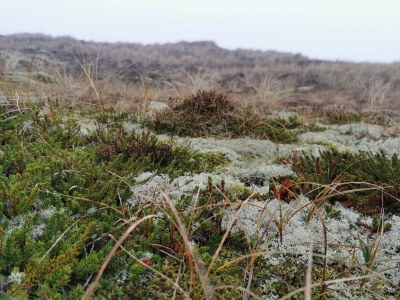 Apartment 6 person holiday home in Ringkøbing - Outdoor photo 43