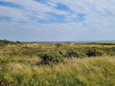 Holiday house Gemutliche Kustenhutte Ruckzugsort-By Traum - Outdoor photo 18