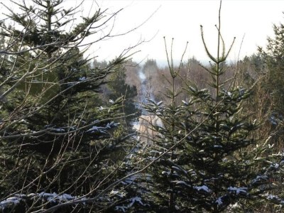 Holiday house Gemutliche Kustenhutte Ruckzugsort-By Traum - Outdoor photo 19