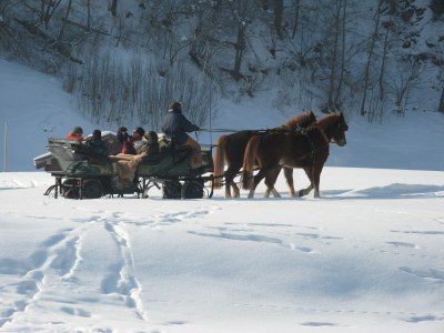 Holiday apartment Haus Jaeger - Environment photo 20