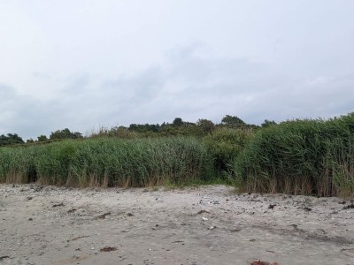 Holiday house 4 person holiday home in Allingåbro-By Traum - Outdoor photo 20