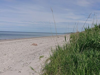 Holiday house 4 person holiday home in Allingåbro-By Traum - Outdoor photo 21