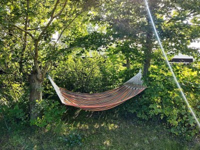 Holiday house 4 person holiday home in Allingåbro-By Traum - Outdoor photo 26