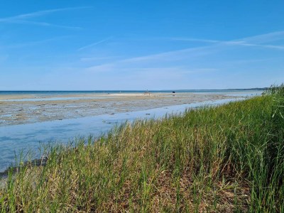 Holiday house 4 person holiday home in Allingåbro-By Traum - Outdoor photo 30