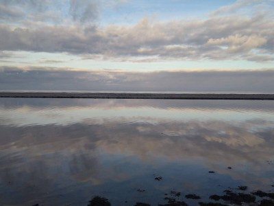 Holiday house 4 person holiday home in Allingåbro-By Traum - Outdoor photo 31