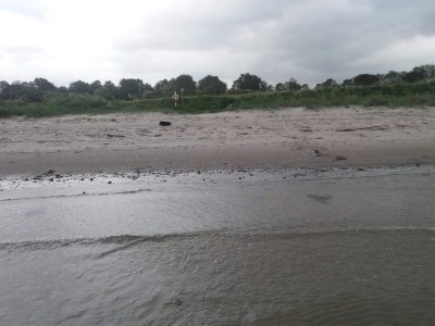 Holiday house 4 person holiday home in Allingåbro-By Traum - Outdoor photo 36