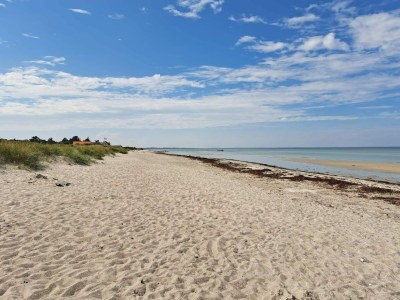 Holiday house 4 person holiday home in Allingåbro-By Traum - Outdoor photo 37