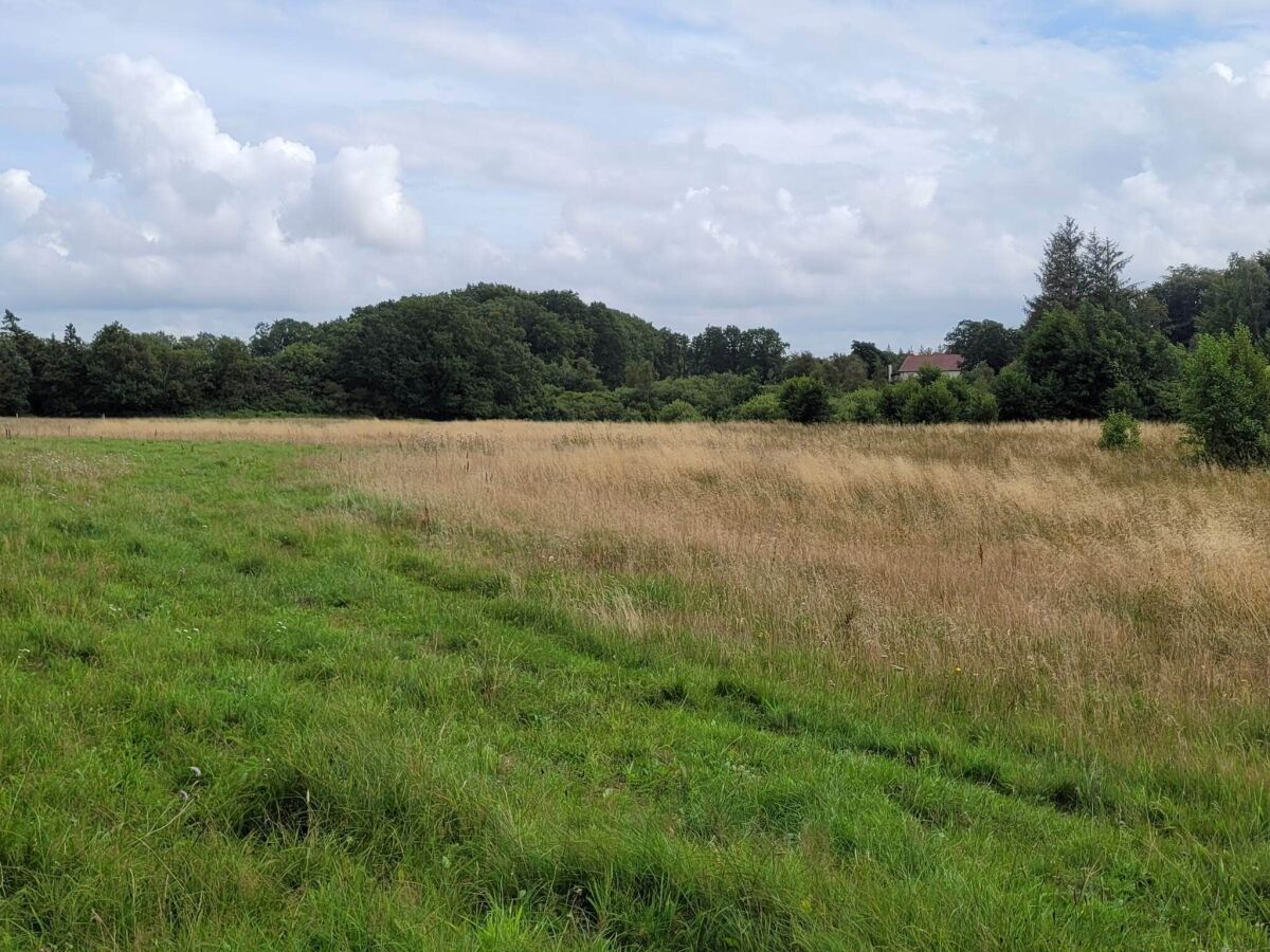 Holiday house 5 person holiday home in Grindsted - Outdoor photo 4