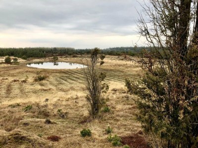 Holiday house 5 person holiday home in Grindsted - Outdoor photo 6