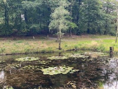 Holiday house 5 person holiday home in Grindsted - Outdoor photo 11