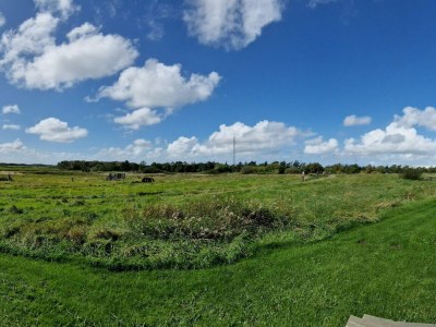 Holiday house Cozy Log Cabin Retreat-By Traum - Outdoor photo 5