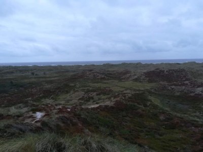 Holiday house Cozy Log Cabin Retreat-By Traum - Outdoor photo 33