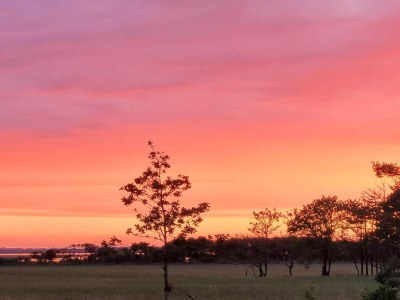 Holiday house Cozy Log Cabin Retreat-By Traum - Outdoor photo 34