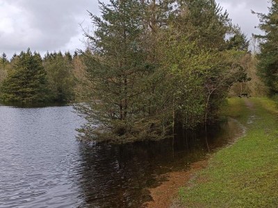 Holiday house Cozy Log Cabin Retreat-By Traum - Outdoor photo 38