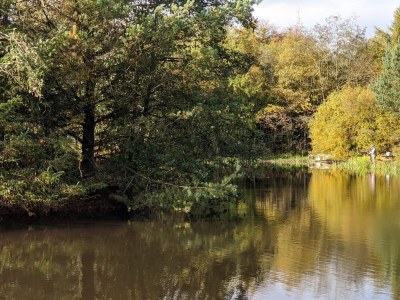 Holiday house Cozy Log Cabin Retreat-By Traum - Outdoor photo 39