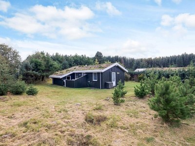 Holiday house Gemutliches Ferienhaus in Blokhus -- By Traum Ferienwohnungen - Outdoor photo 26