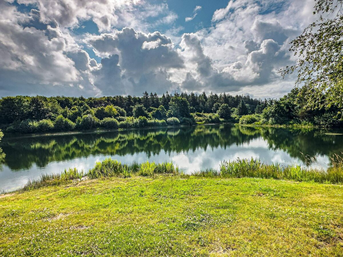 Holiday house 6 Personen Ferienhaus in Toftlund-By Traum - Outdoor photo 3